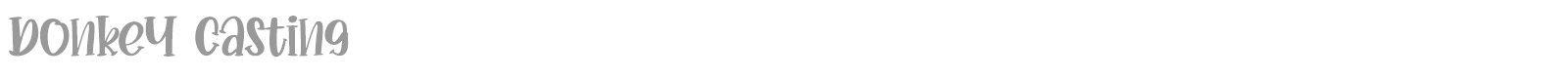 Donkey Casting font preview